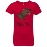 T-Shirts Red / YXS Mysteries Are Coming Girls Premium T-Shirt