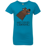 T-Shirts Turquoise / YXS Mysteries Are Coming Girls Premium T-Shirt