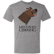 T-Shirts Premium Heather / S Mysteries Are Coming Men's Triblend T-Shirt