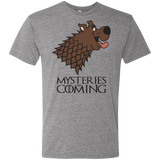 T-Shirts Premium Heather / S Mysteries Are Coming Men's Triblend T-Shirt