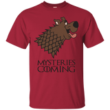 T-Shirts Cardinal / S Mysteries Are Coming T-Shirt