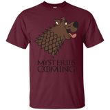 T-Shirts Maroon / S Mysteries Are Coming T-Shirt