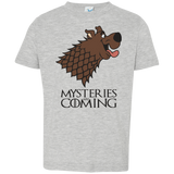 T-Shirts Heather Grey / 2T Mysteries Are Coming Toddler Premium T-Shirt