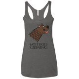 T-Shirts Premium Heather / X-Small Mysteries Are Coming Women's Triblend Racerback Tank