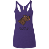 T-Shirts Purple Rush / X-Small Mysteries Are Coming Women's Triblend Racerback Tank