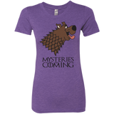 T-Shirts Purple Rush / S Mysteries Are Coming Women's Triblend T-Shirt