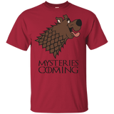 T-Shirts Cardinal / YXS Mysteries Are Coming Youth T-Shirt