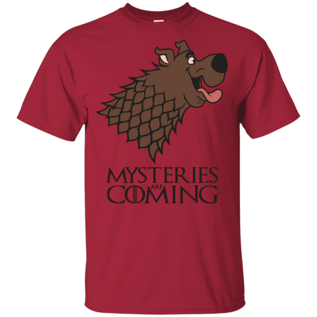 T-Shirts Cardinal / YXS Mysteries Are Coming Youth T-Shirt