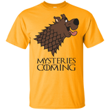 T-Shirts Gold / YXS Mysteries Are Coming Youth T-Shirt