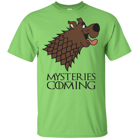 T-Shirts Lime / YXS Mysteries Are Coming Youth T-Shirt