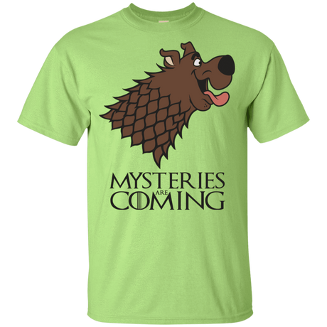 T-Shirts Mint Green / YXS Mysteries Are Coming Youth T-Shirt