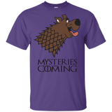 T-Shirts Purple / YXS Mysteries Are Coming Youth T-Shirt