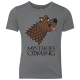 T-Shirts Premium Heather / YXS Mysteries Are Coming Youth Triblend T-Shirt