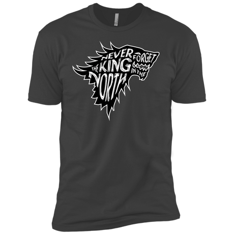 T-Shirts Heavy Metal / YXS Never Forget The King In The North Boys Premium T-Shirt