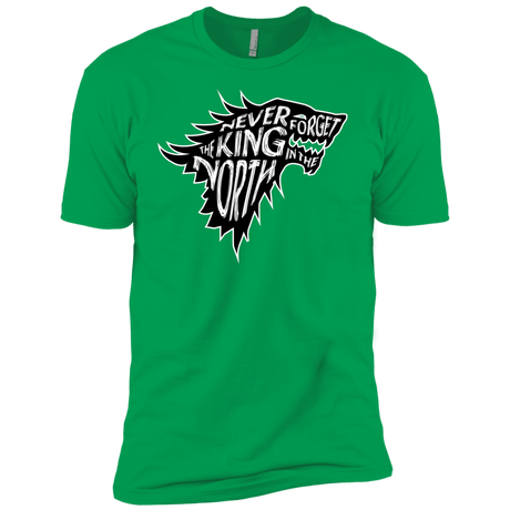 T-Shirts Kelly Green / YXS Never Forget The King In The North Boys Premium T-Shirt
