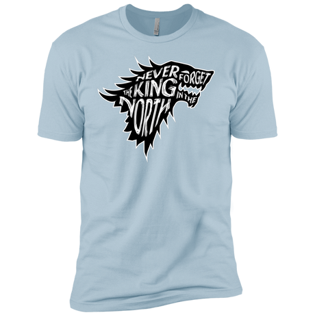 T-Shirts Light Blue / YXS Never Forget The King In The North Boys Premium T-Shirt