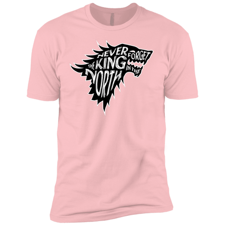 T-Shirts Light Pink / YXS Never Forget The King In The North Boys Premium T-Shirt