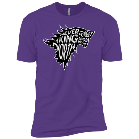 T-Shirts Purple Rush / YXS Never Forget The King In The North Boys Premium T-Shirt