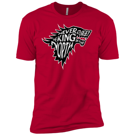 T-Shirts Red / YXS Never Forget The King In The North Boys Premium T-Shirt