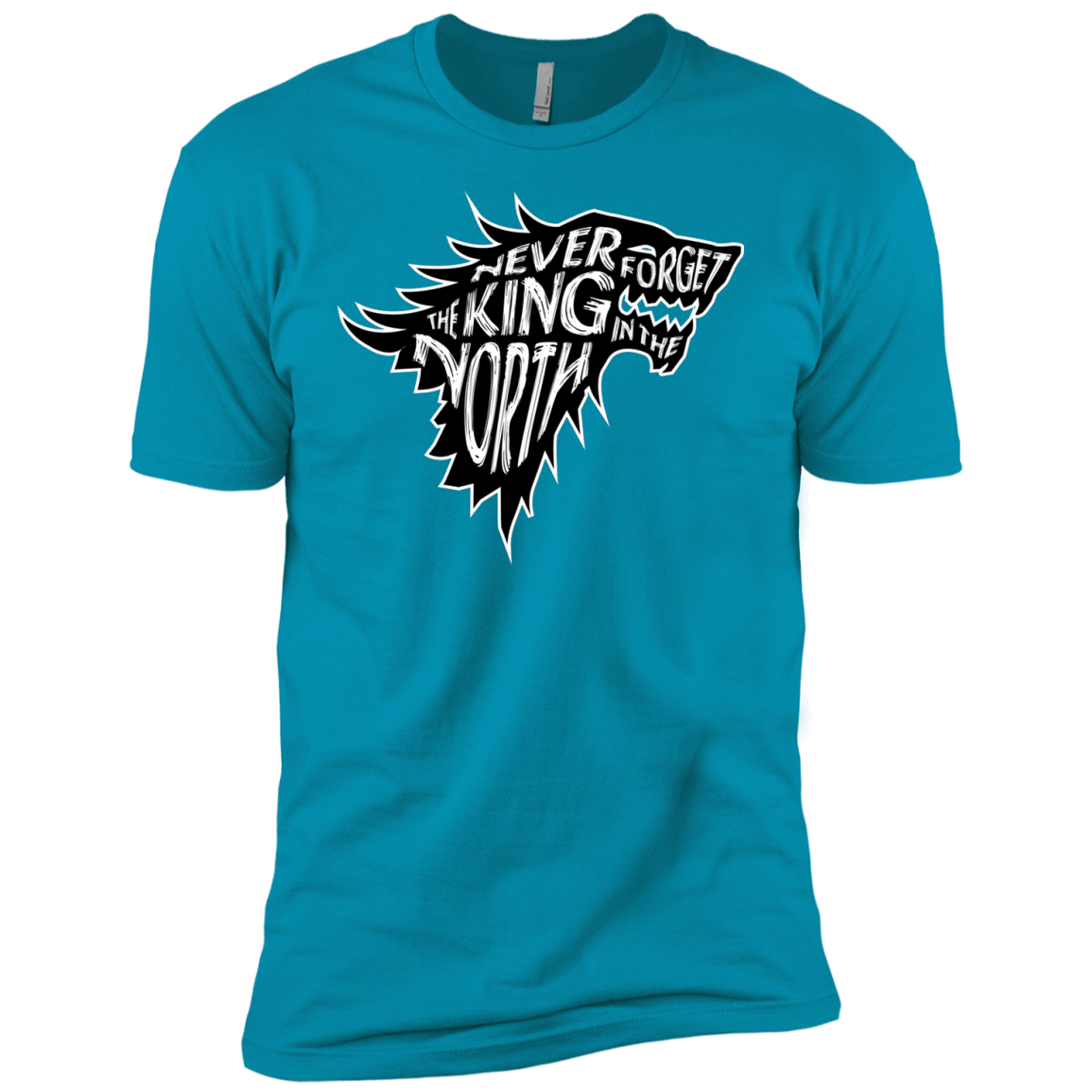 T-Shirts Turquoise / YXS Never Forget The King In The North Boys Premium T-Shirt