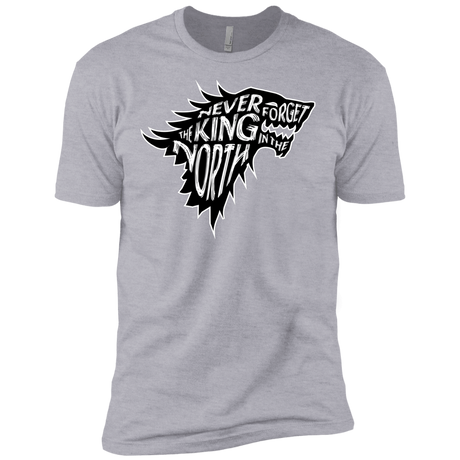T-Shirts Heather Grey / X-Small Never Forget The King In The North Men's Premium T-Shirt