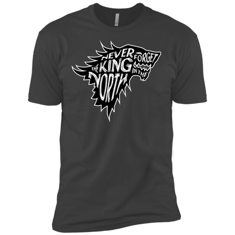 T-Shirts Heavy Metal / X-Small Never Forget The King In The North Men's Premium T-Shirt