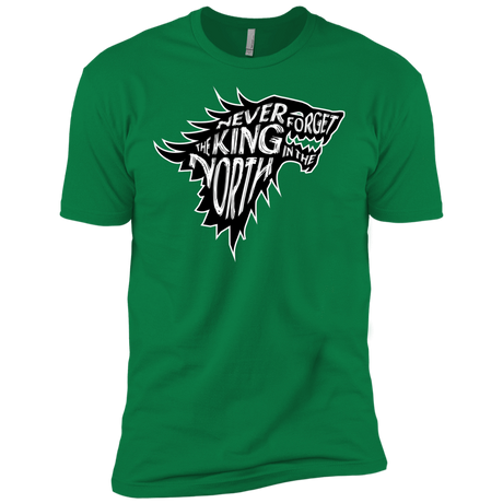 T-Shirts Kelly Green / X-Small Never Forget The King In The North Men's Premium T-Shirt