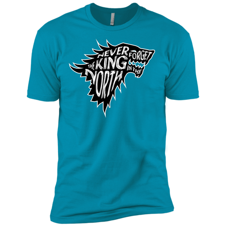 T-Shirts Turquoise / X-Small Never Forget The King In The North Men's Premium T-Shirt