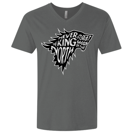 T-Shirts Heavy Metal / X-Small Never Forget The King In The North Men's Premium V-Neck