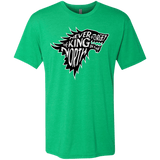 T-Shirts Envy / S Never Forget The King In The North Men's Triblend T-Shirt