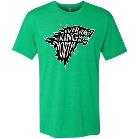 T-Shirts Envy / S Never Forget The King In The North Men's Triblend T-Shirt