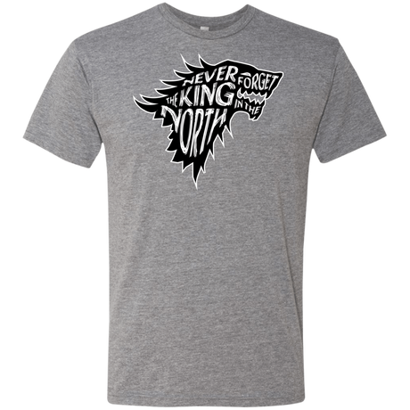 T-Shirts Premium Heather / S Never Forget The King In The North Men's Triblend T-Shirt