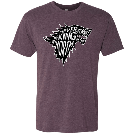 T-Shirts Vintage Purple / S Never Forget The King In The North Men's Triblend T-Shirt