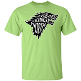 T-Shirts Mint Green / YXS Never Forget The King In The North Youth T-Shirt