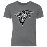 T-Shirts Premium Heather / YXS Never Forget The King In The North Youth Triblend T-Shirt