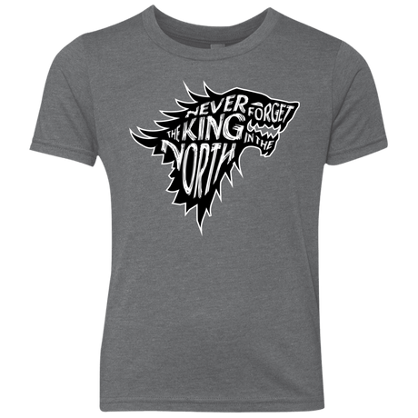 T-Shirts Premium Heather / YXS Never Forget The King In The North Youth Triblend T-Shirt