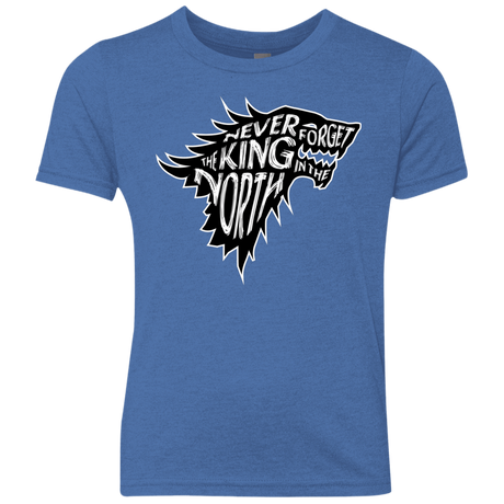 T-Shirts Vintage Royal / YXS Never Forget The King In The North Youth Triblend T-Shirt