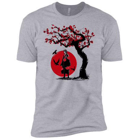 T-Shirts Heather Grey / YXS Ninja under the sun Boys Premium T-Shirt