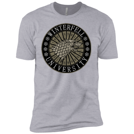 T-Shirts Heather Grey / YXS North university Boys Premium T-Shirt