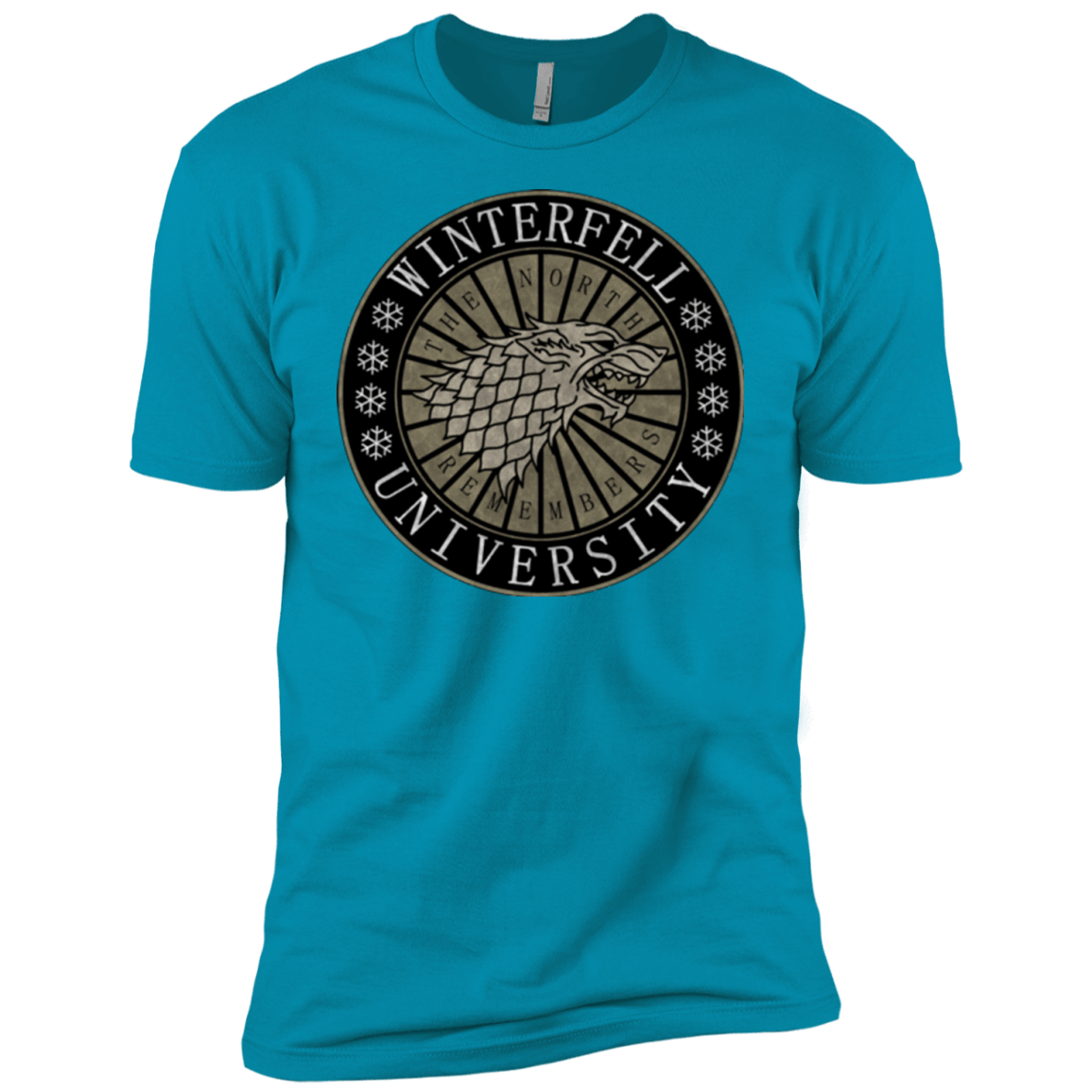 T-Shirts Turquoise / YXS North university Boys Premium T-Shirt
