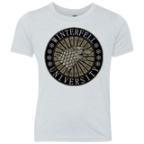 T-Shirts Heather White / YXS North university Youth Triblend T-Shirt