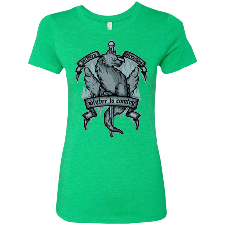 T-Shirts Envy / Small Northern Direwolves Women's Triblend T-Shirt