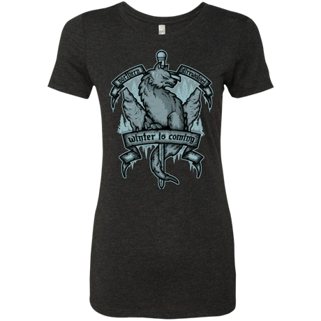 T-Shirts Vintage Black / Small Northern Direwolves Women's Triblend T-Shirt