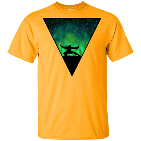 T-Shirts Gold / YXS Northern Lights Pose Youth T-Shirt