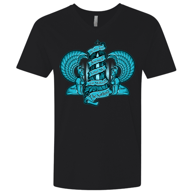 T-Shirts Black / X-Small NORTHERN ORACLE Men's Premium V-Neck