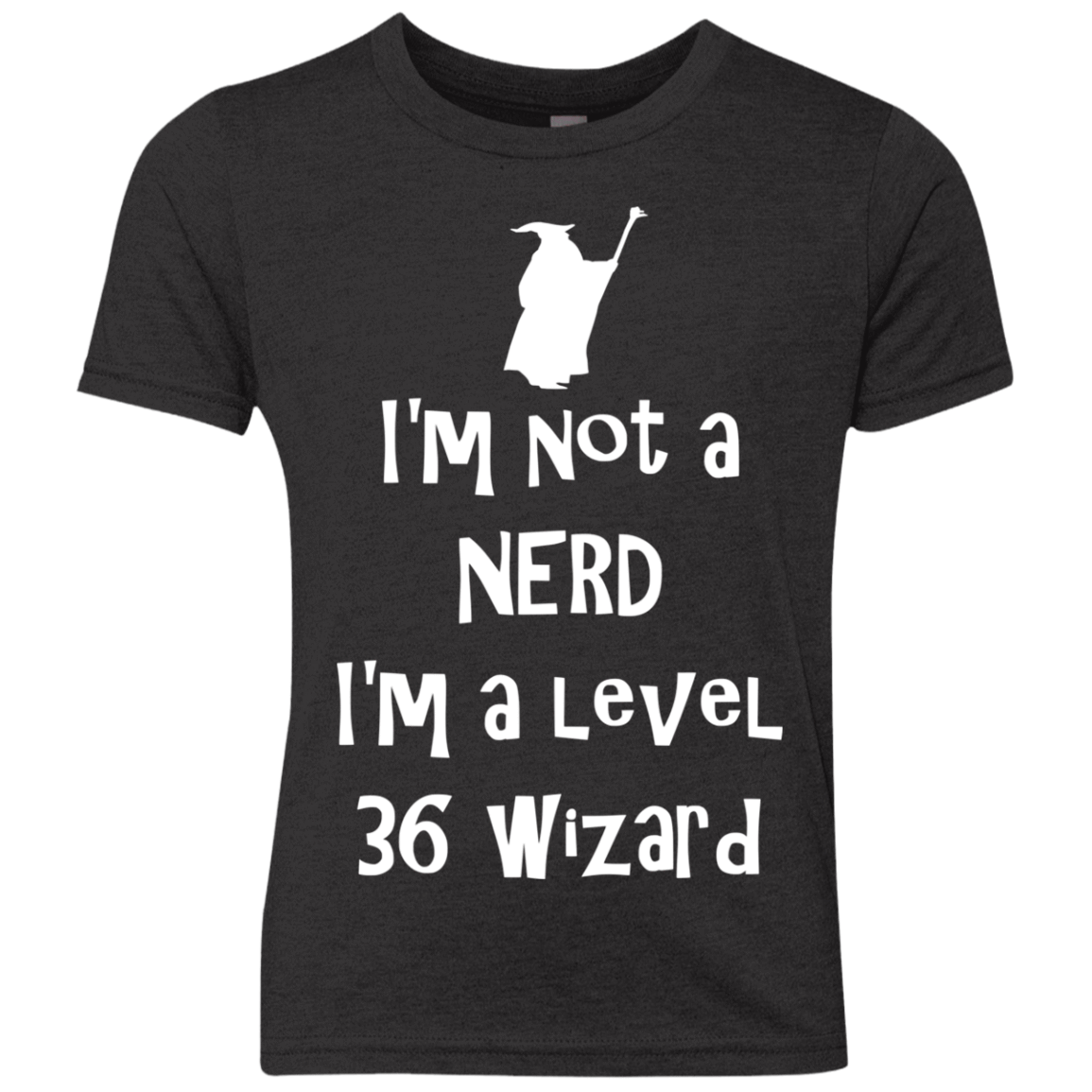 Not a Nerd Youth Triblend T-Shirt