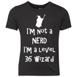 Not a Nerd Youth Triblend T-Shirt