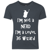 Not a Nerd Youth Triblend T-Shirt
