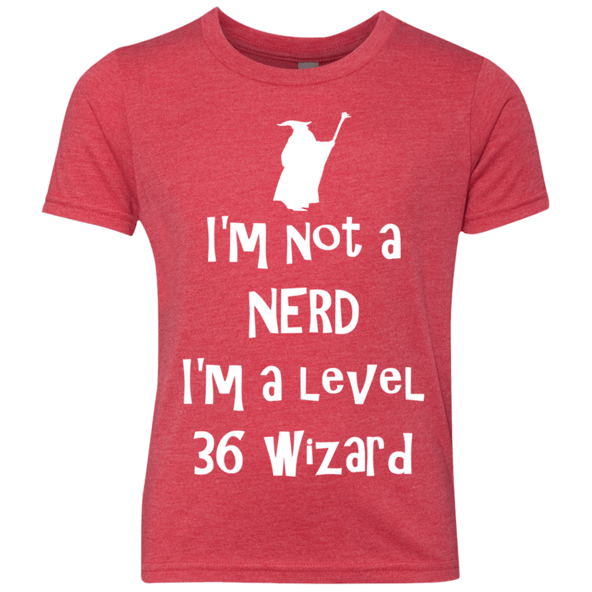 Not a Nerd Youth Triblend T-Shirt