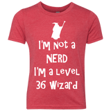 Not a Nerd Youth Triblend T-Shirt